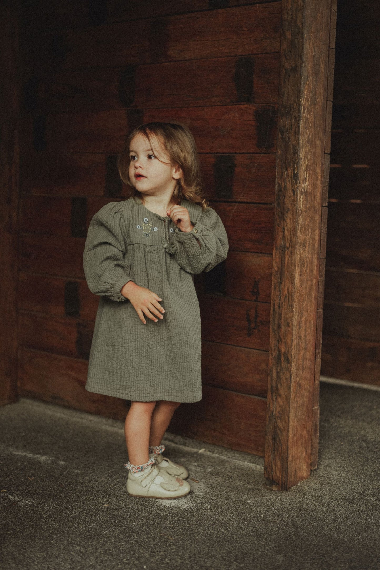 Long Sleeve Embroidered Dress - Olive Green