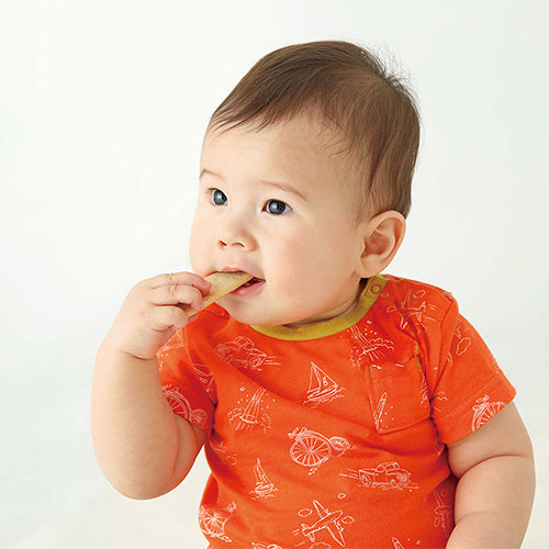 Calcium Rice Crackers - Small Fish