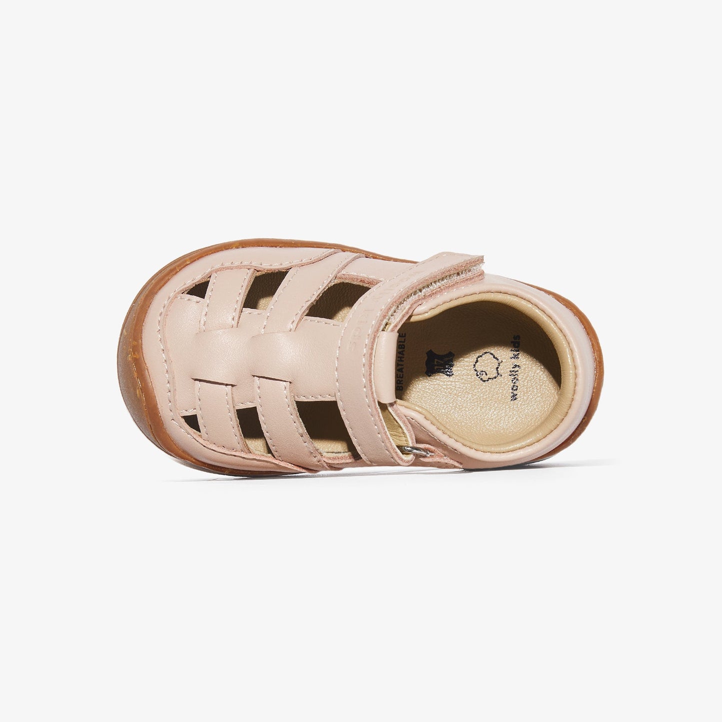 Doler - Cloud Pink