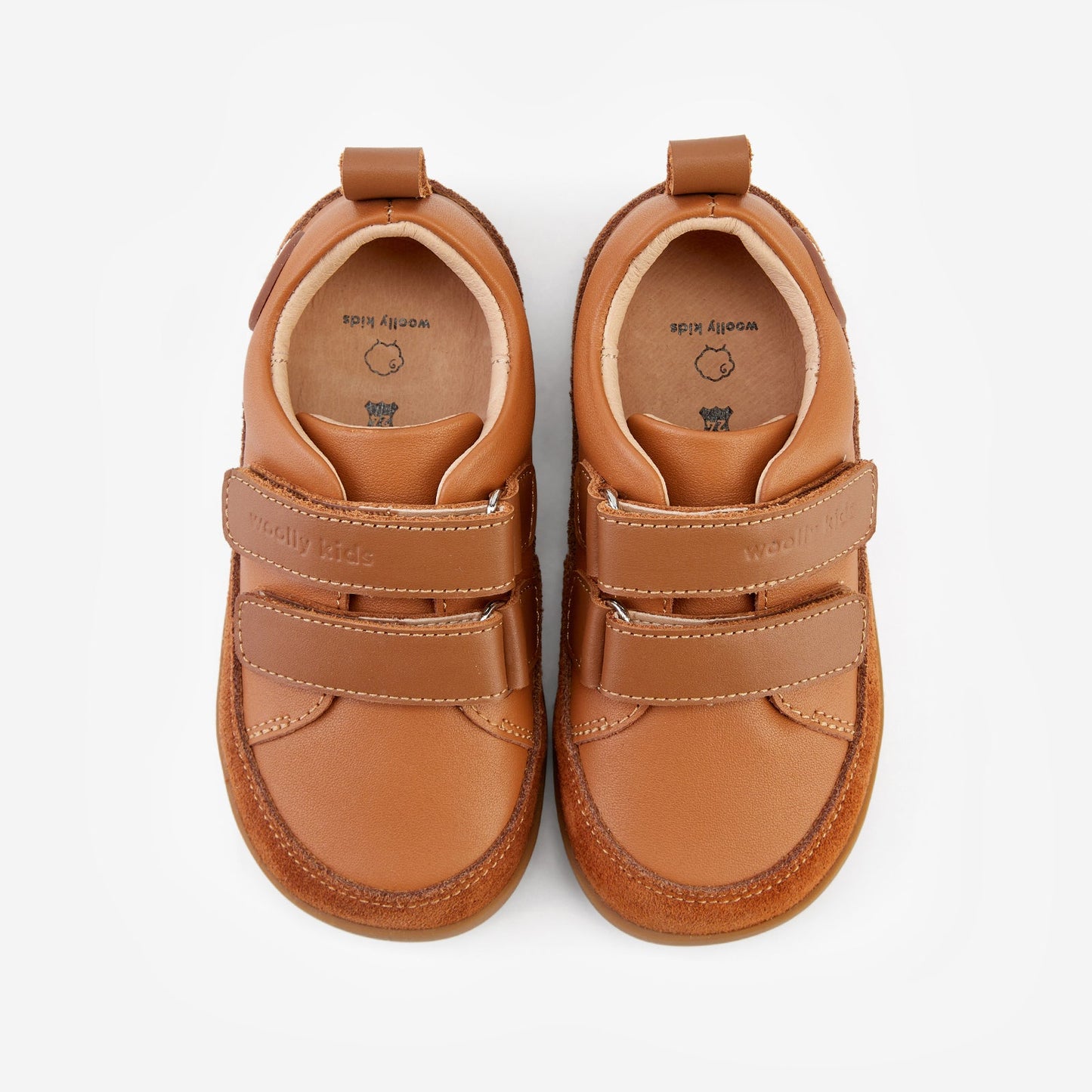 Halo - Latte Brown