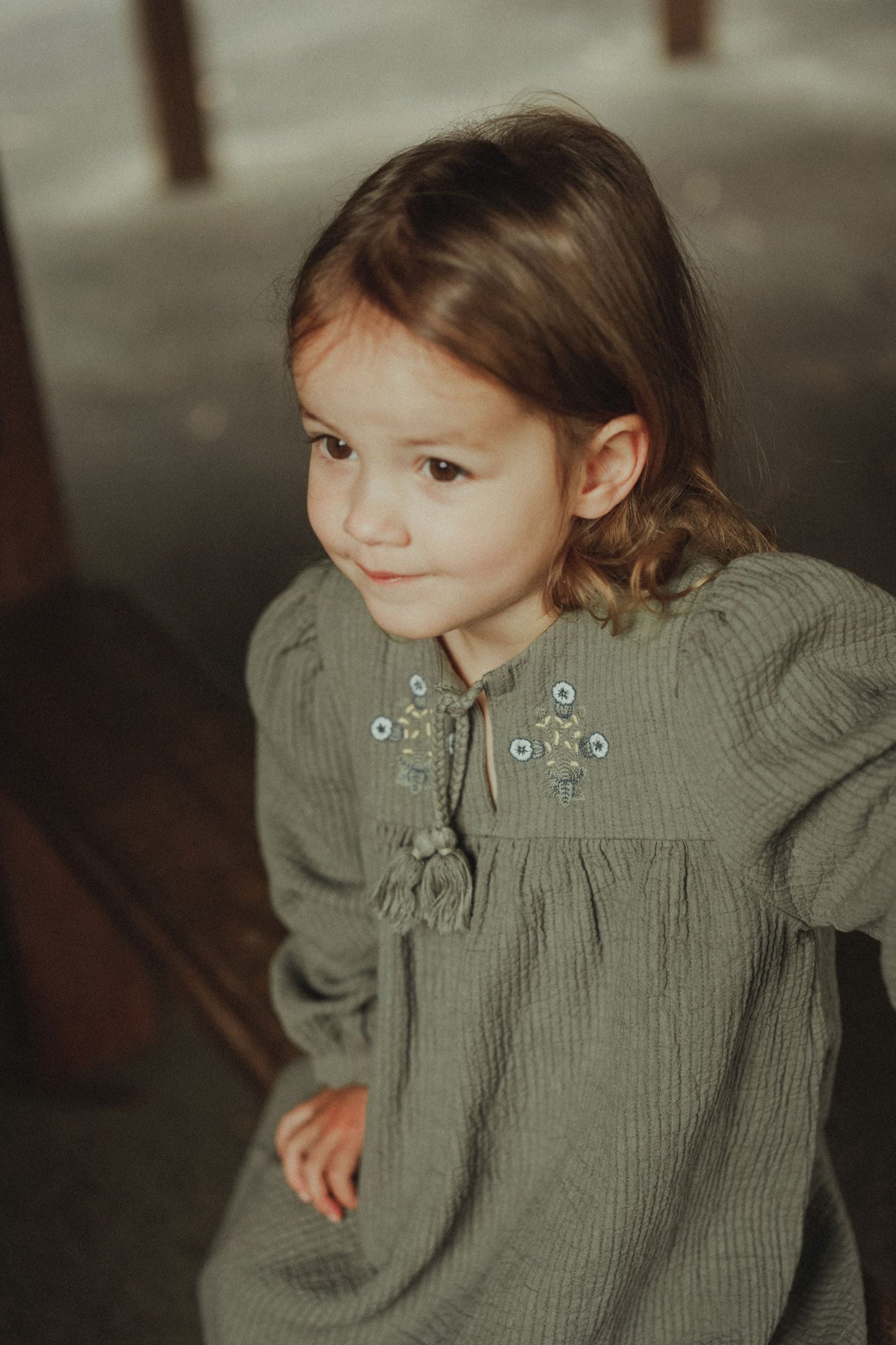 Long Sleeve Embroidered Dress - Olive Green