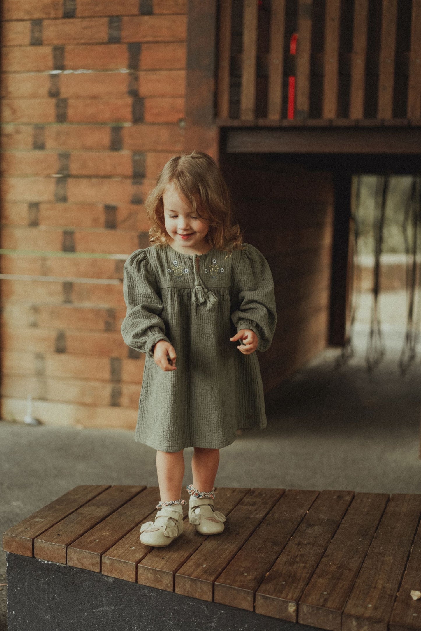 Long Sleeve Embroidered Dress - Olive Green
