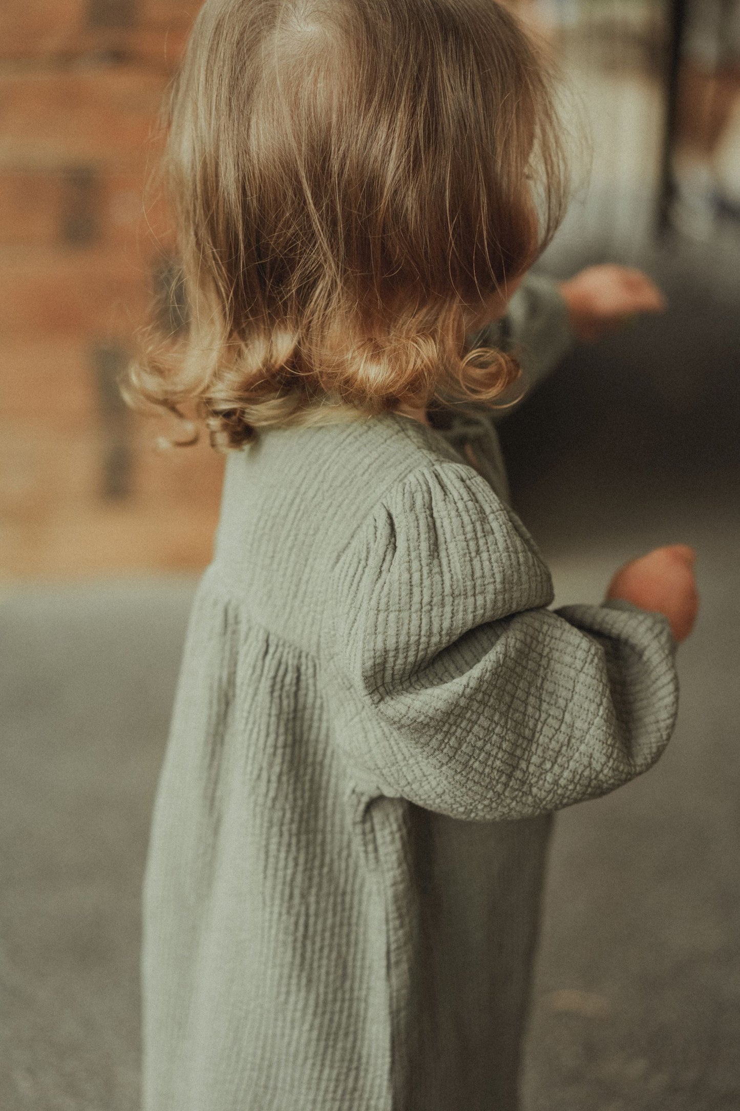 Long Sleeve Embroidered Dress - Olive Green