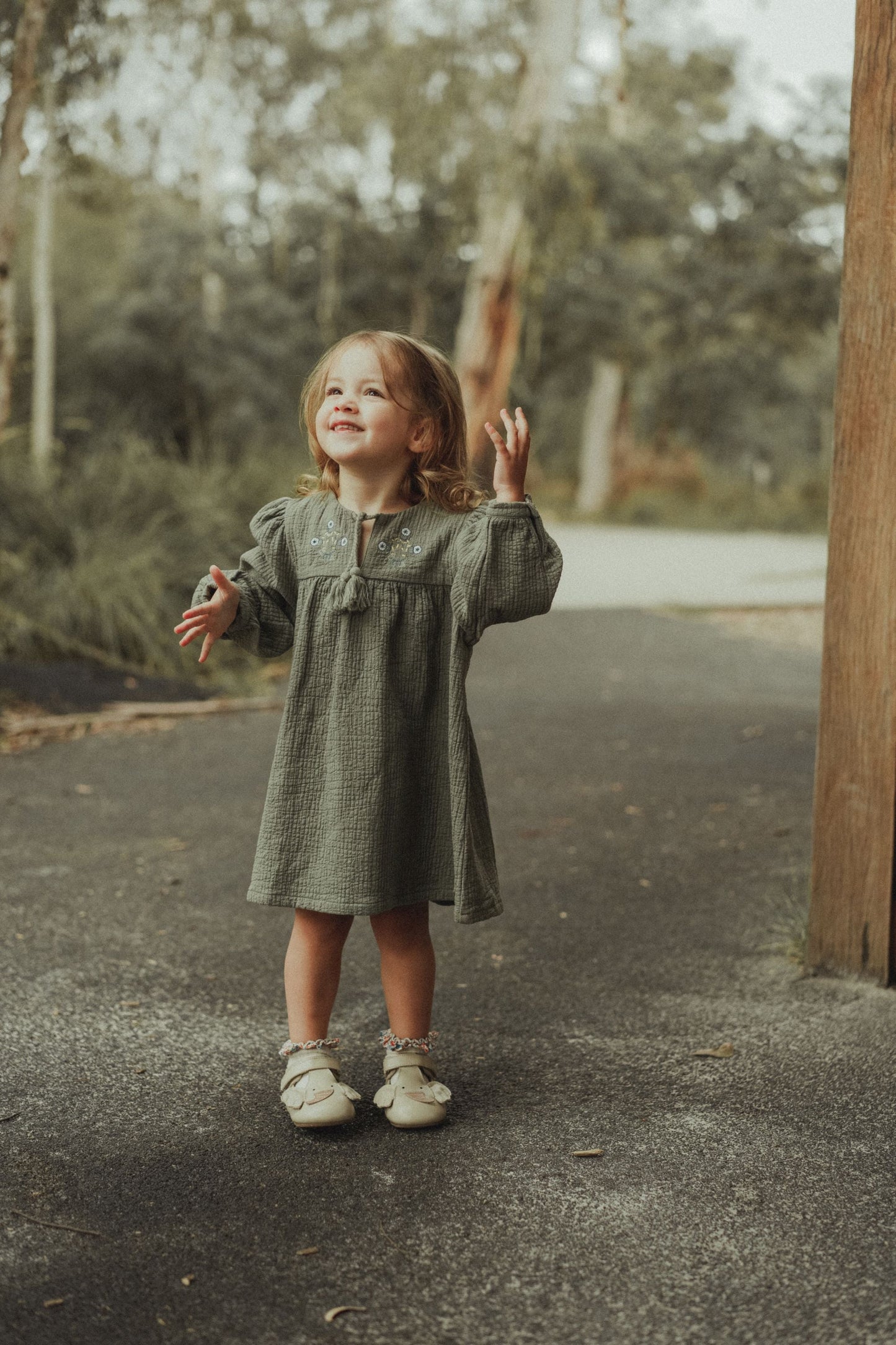 Long Sleeve Embroidered Dress - Olive Green