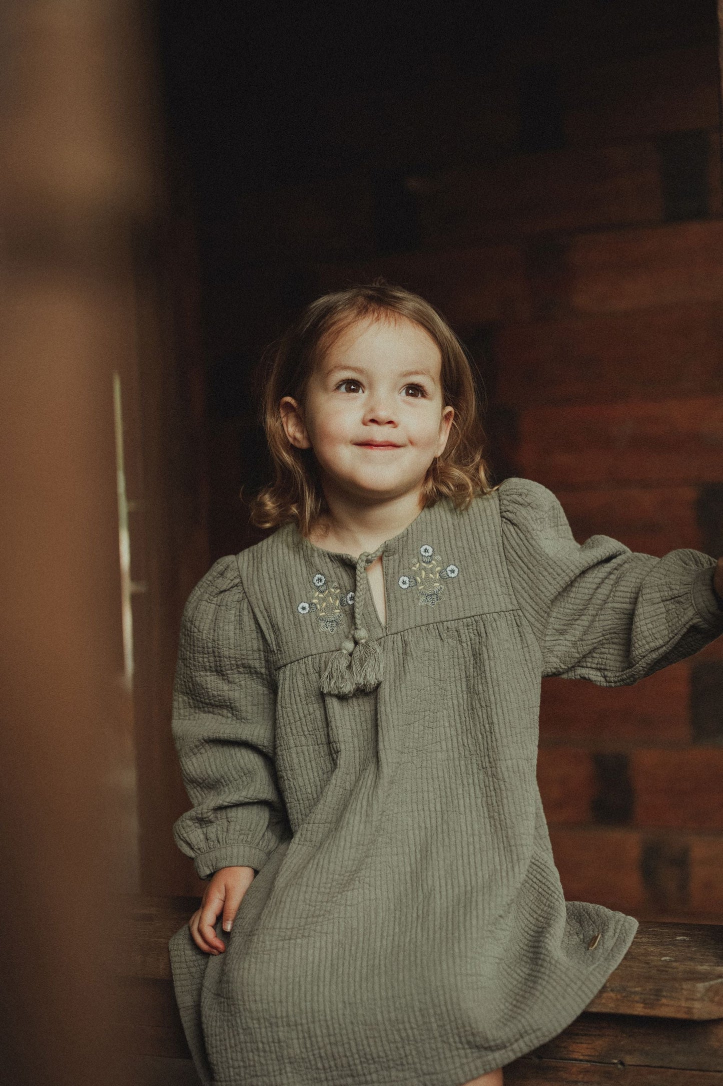 Long Sleeve Embroidered Dress - Olive Green
