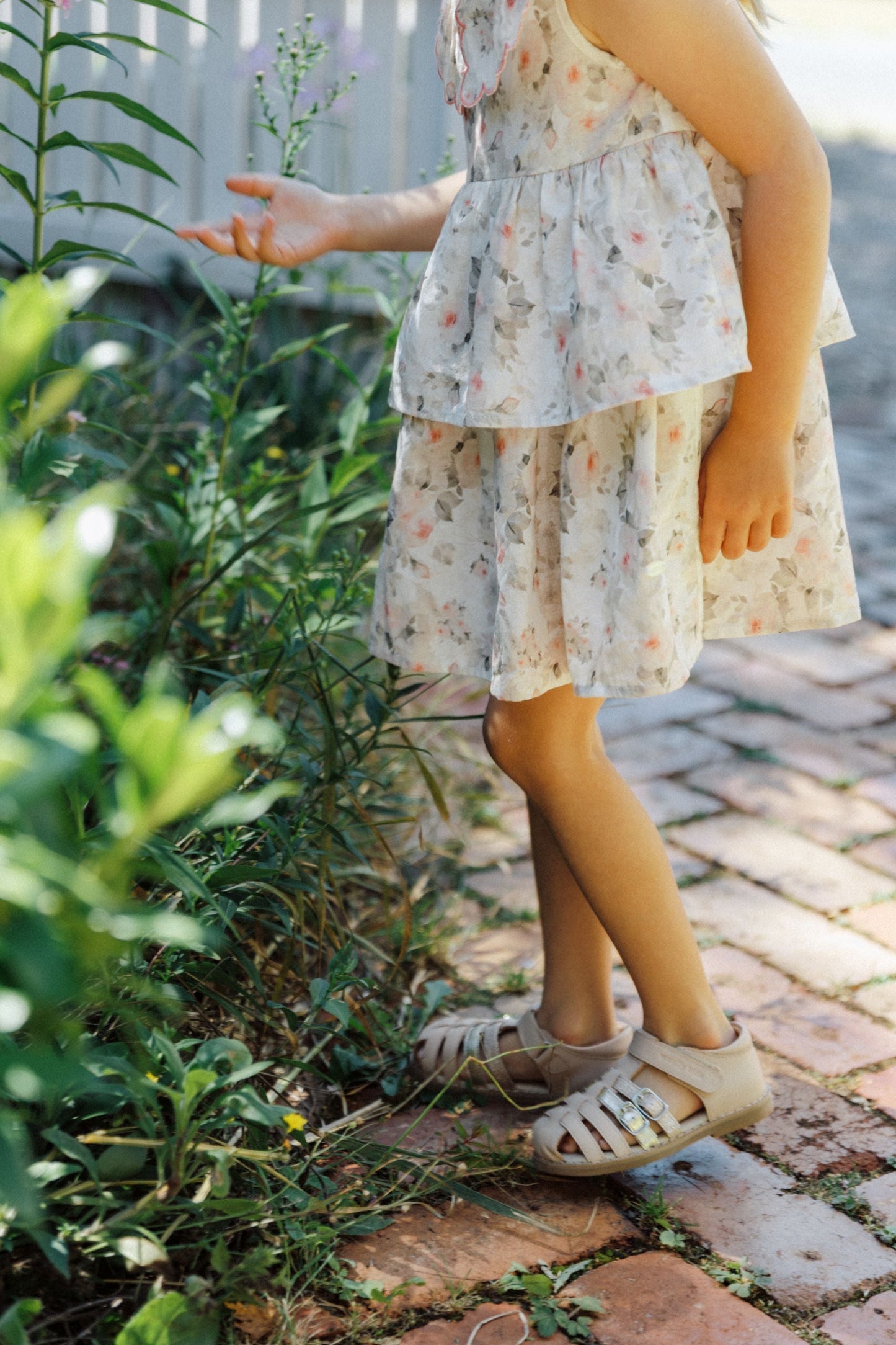 Wonderland Dress