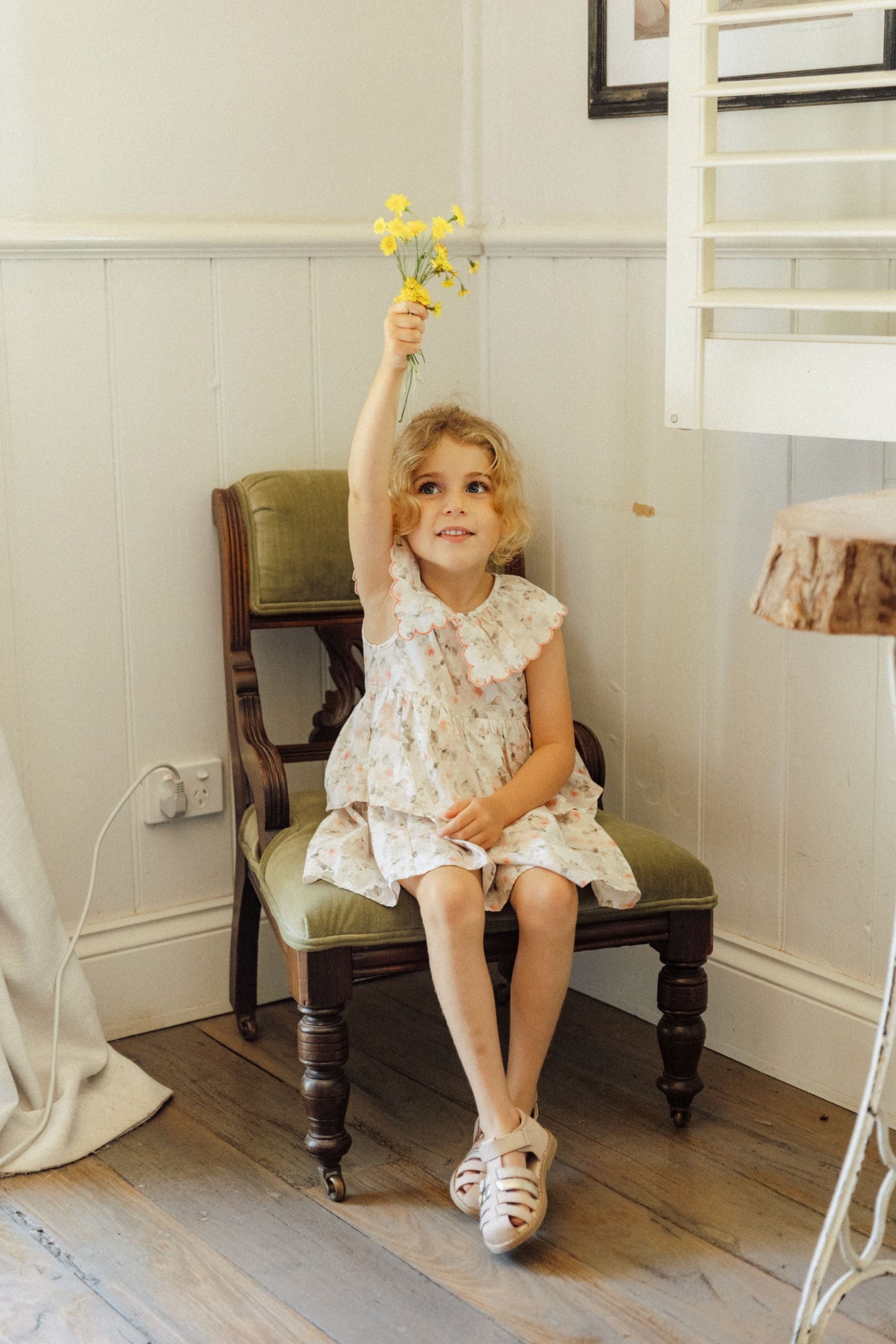 Wonderland Dress
