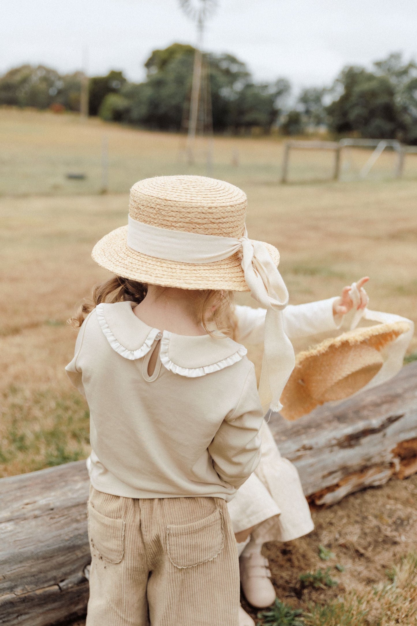 Lace Collar T-shirt - Milk Tea