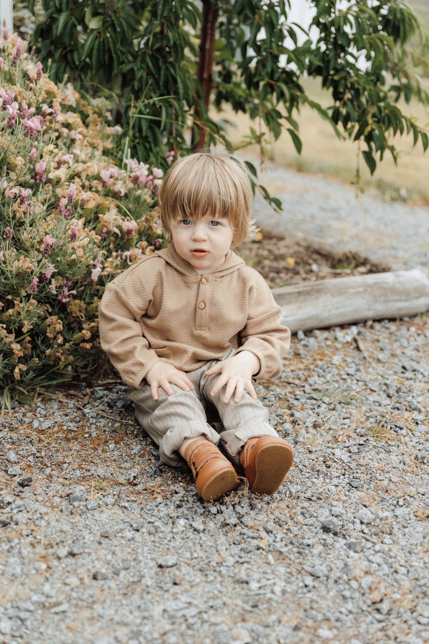 Lion Hoodie - Khaki