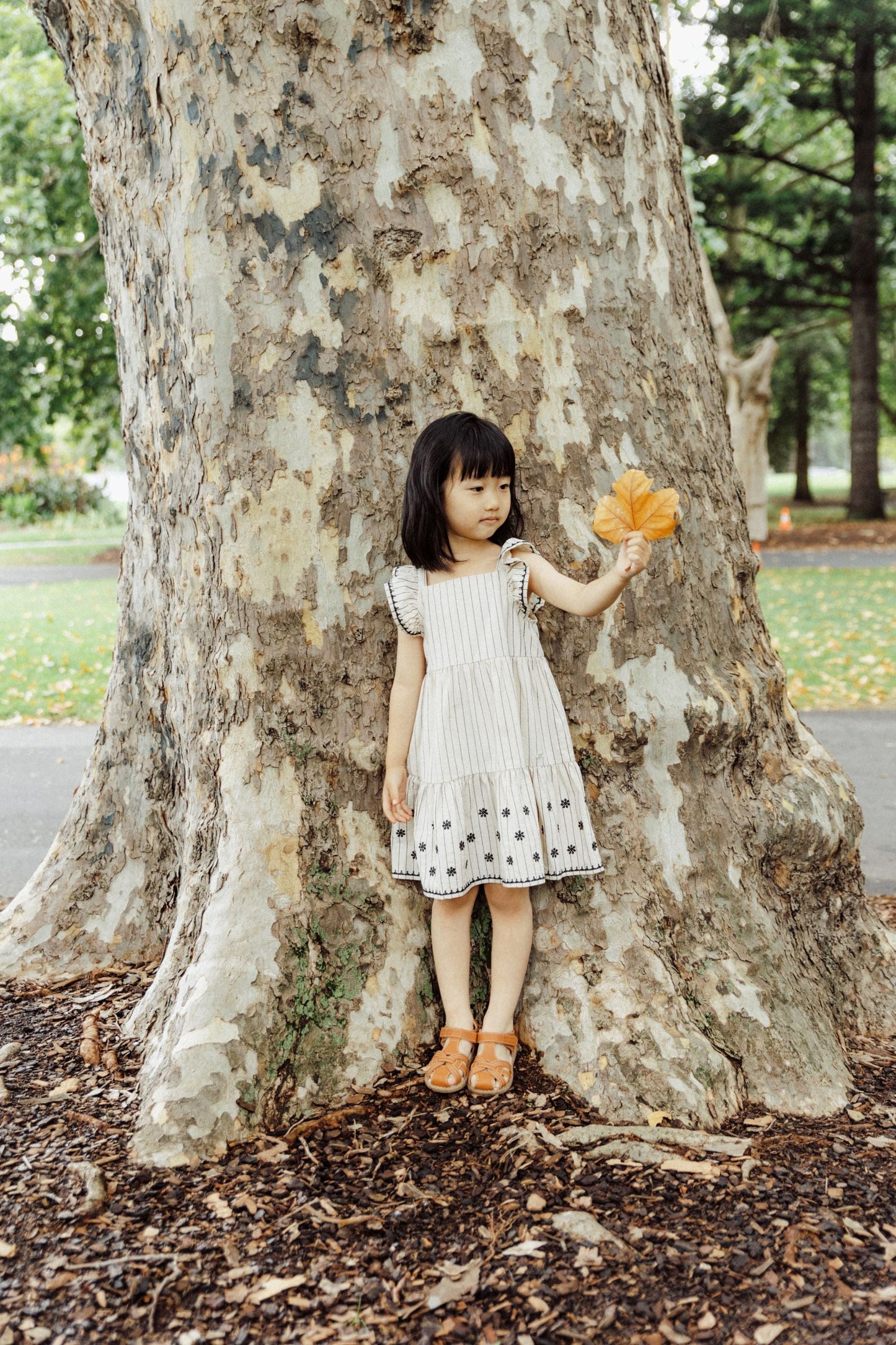 Flutter Striped Dress