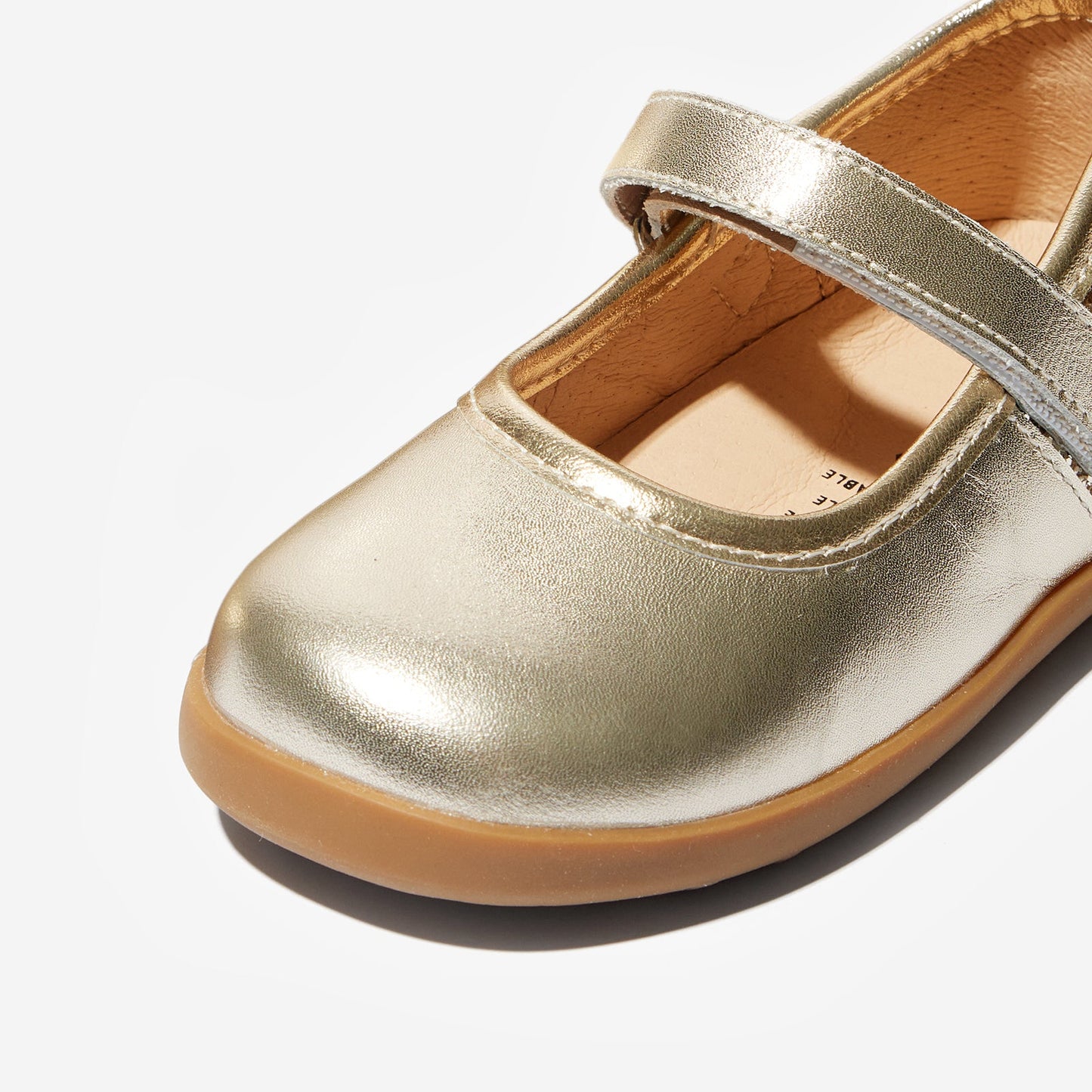 Remy - Wheatland Gold