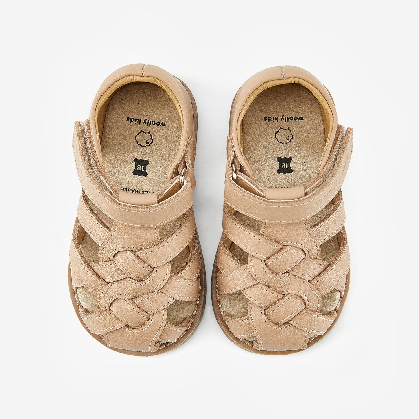 Echo - Milktea Brown