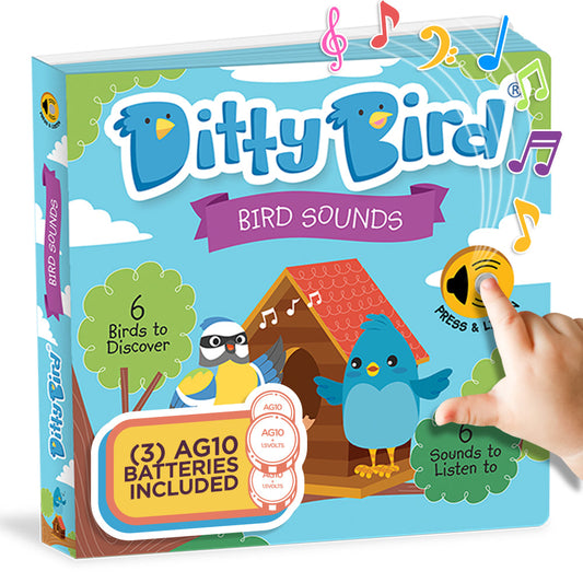 Bird Songs | AG10