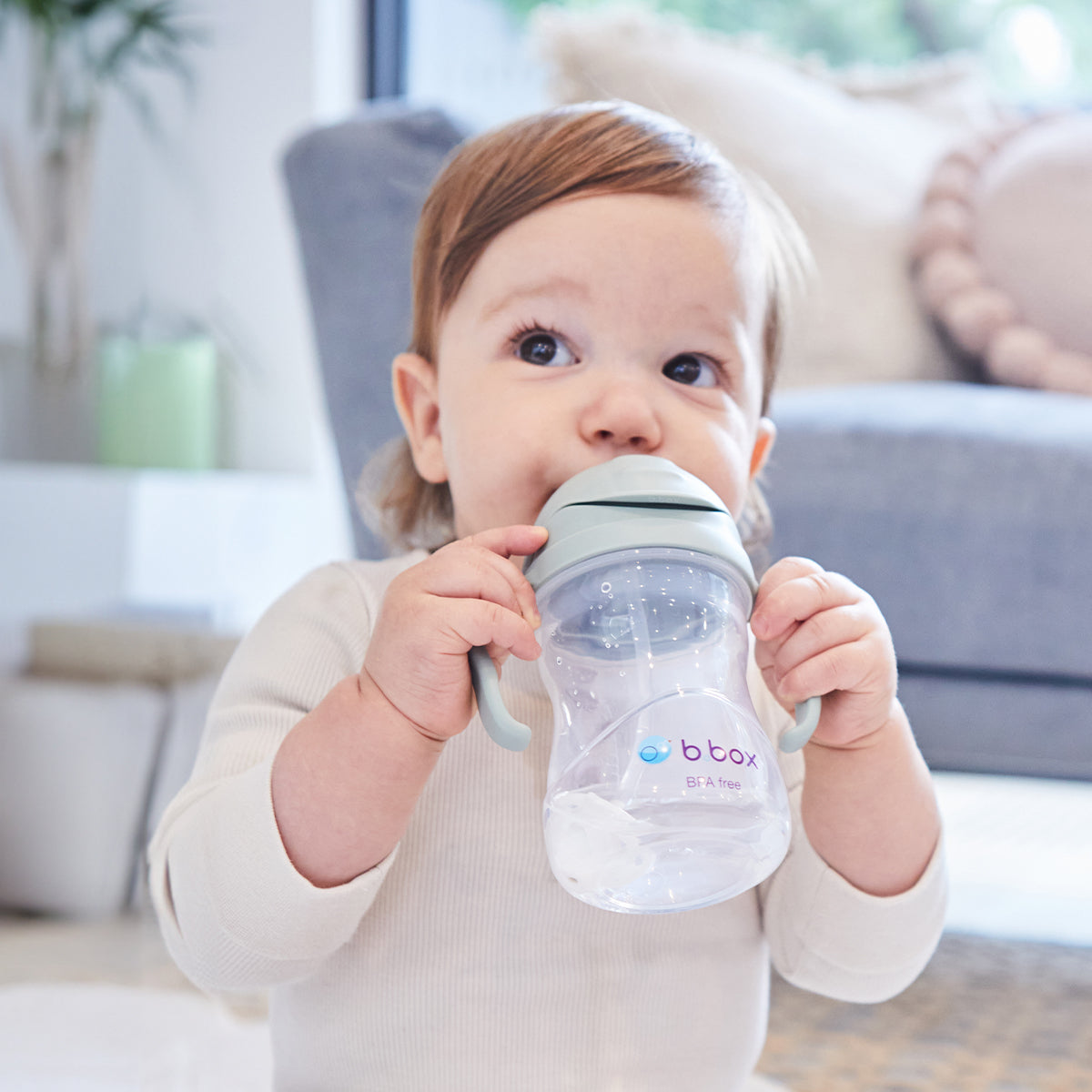 Sippy Straw Cup 240ml