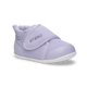 Haze Purple