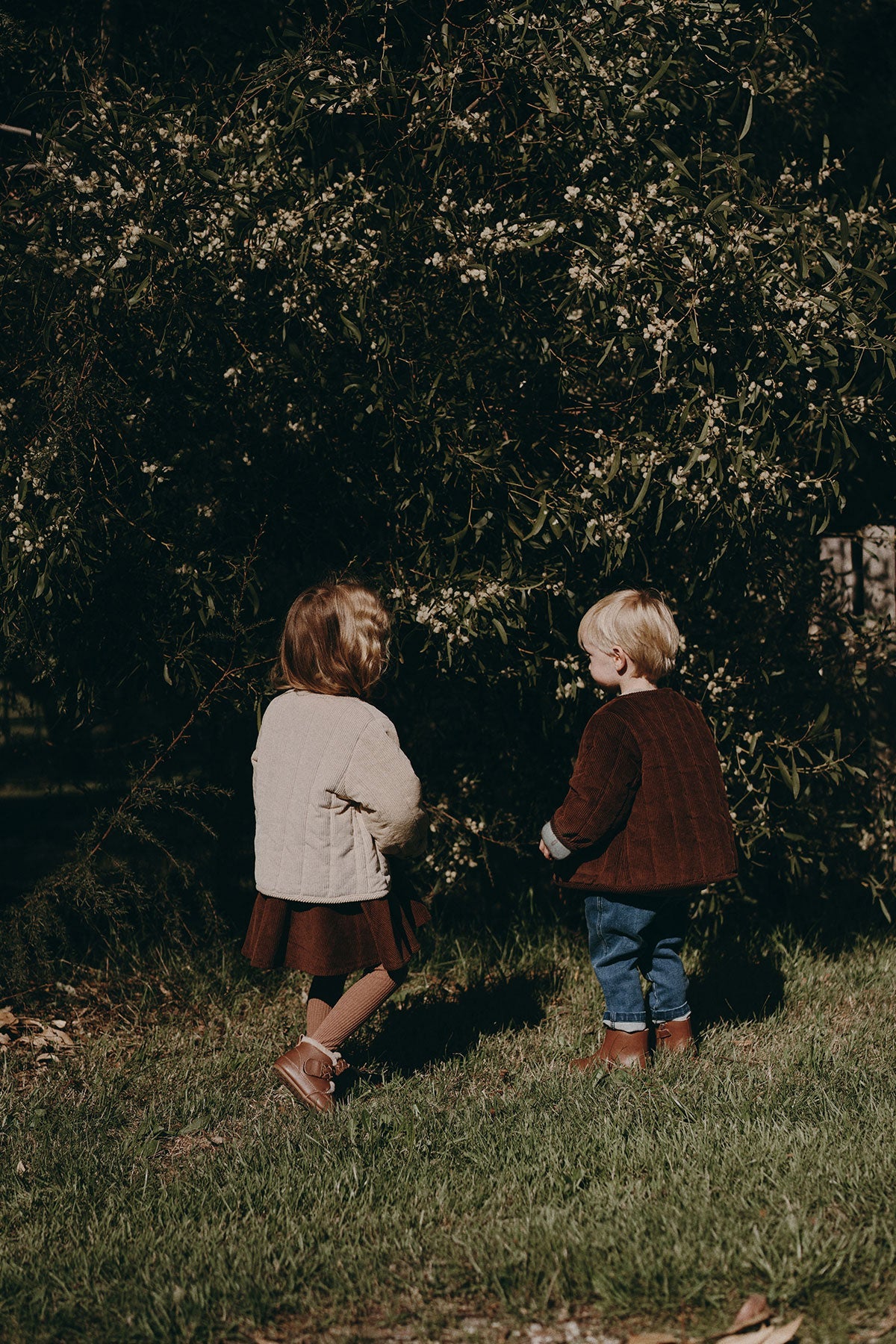 Corduroy Jacket - Dark Brown
