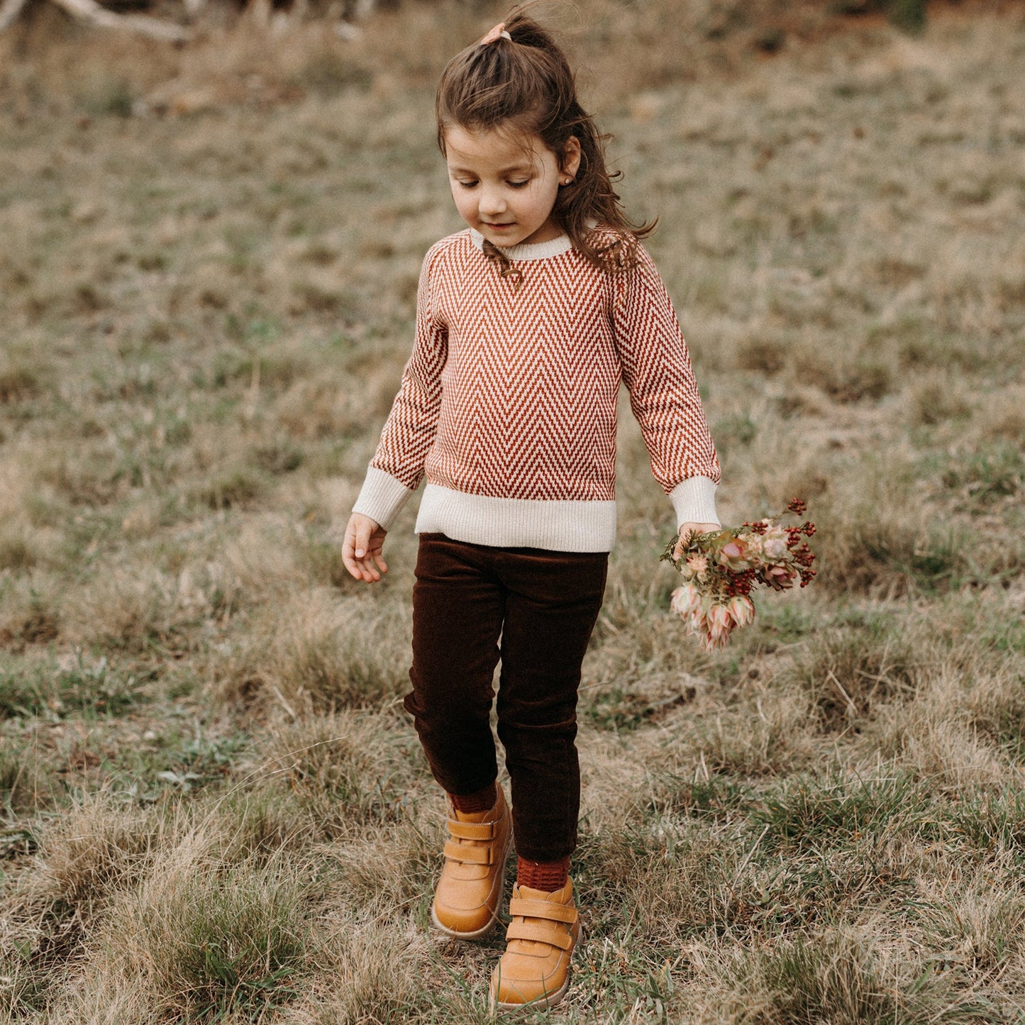 Cyril - Chestnut Brown