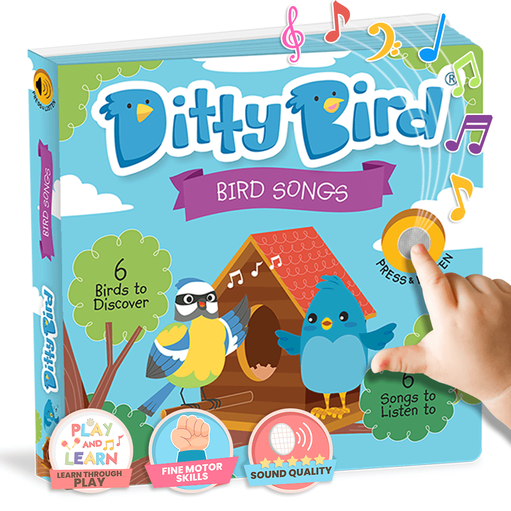 Bird Songs | AG10