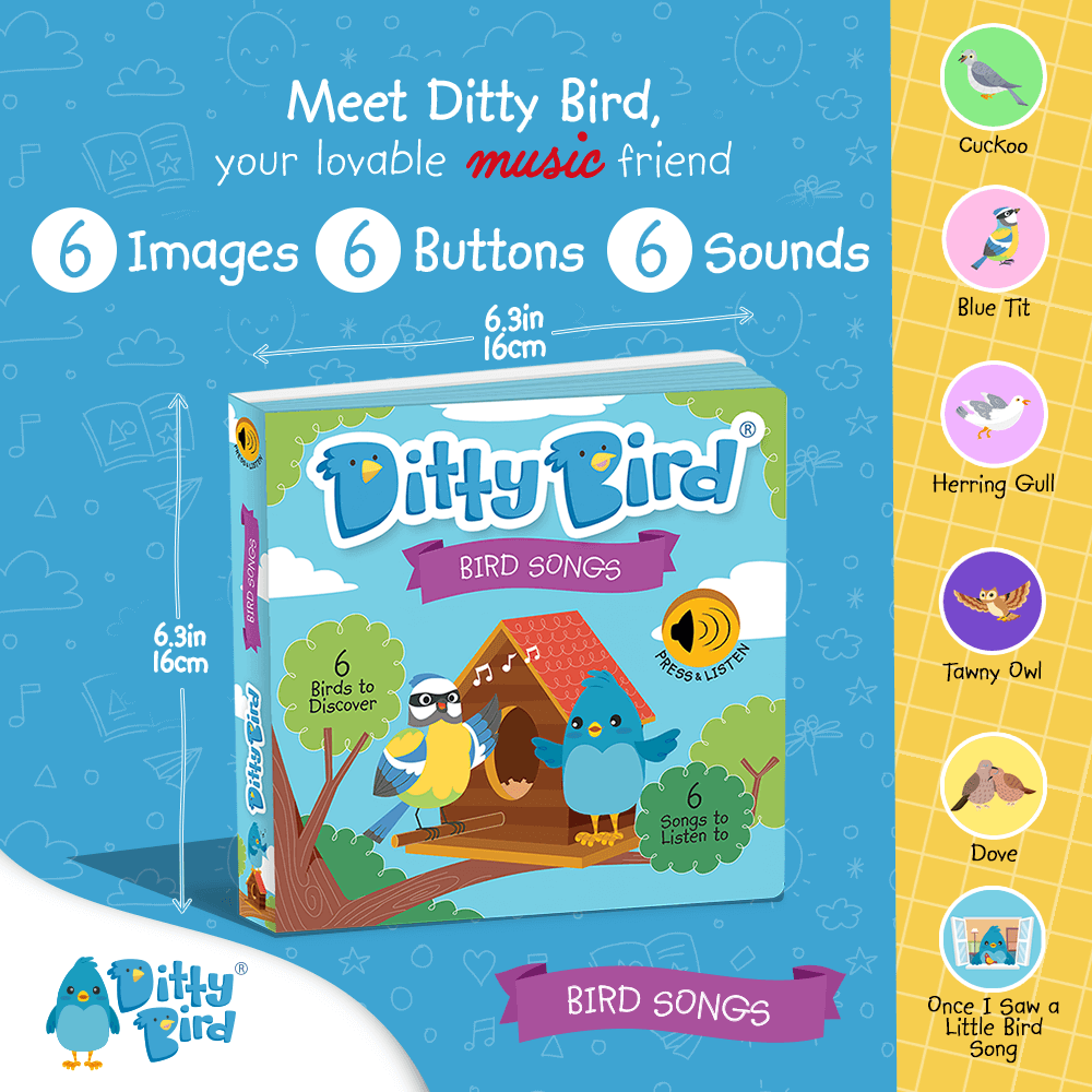 Bird Songs | AG10