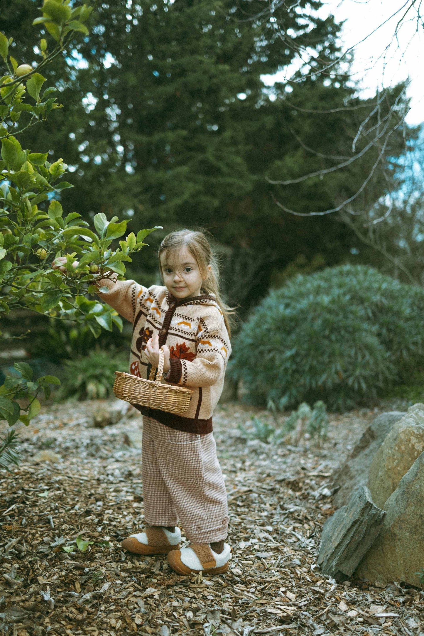 Feleece Island-Style Hoodie - Warm Pinecone