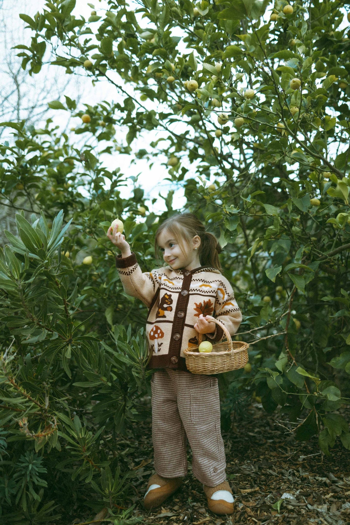 Feleece Island-Style Hoodie - Warm Pinecone