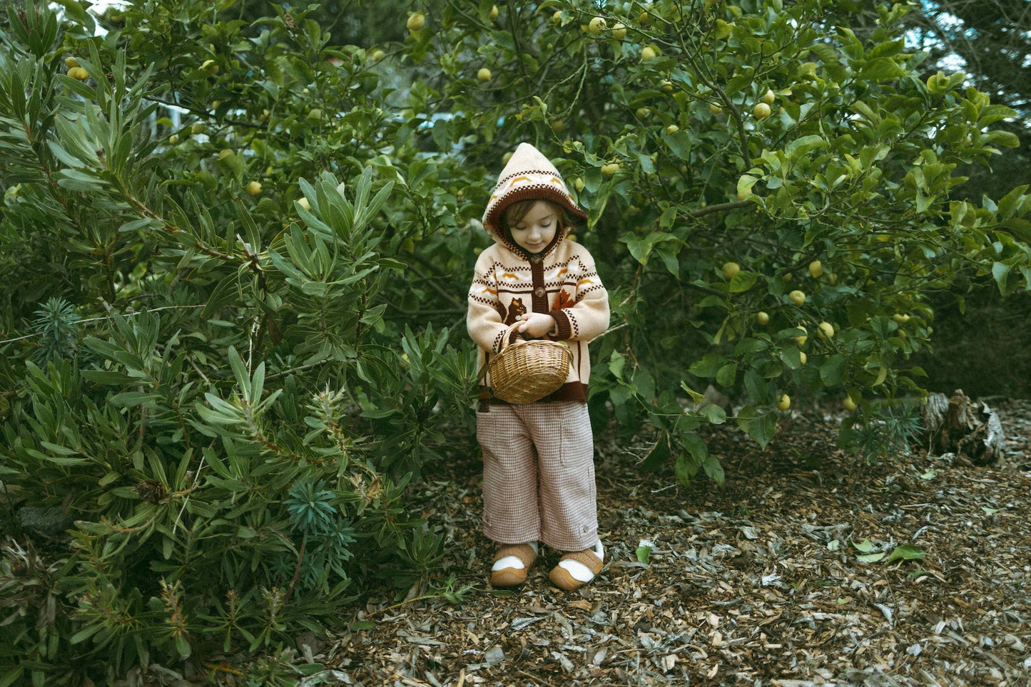 Feleece Island-Style Hoodie - Warm Pinecone