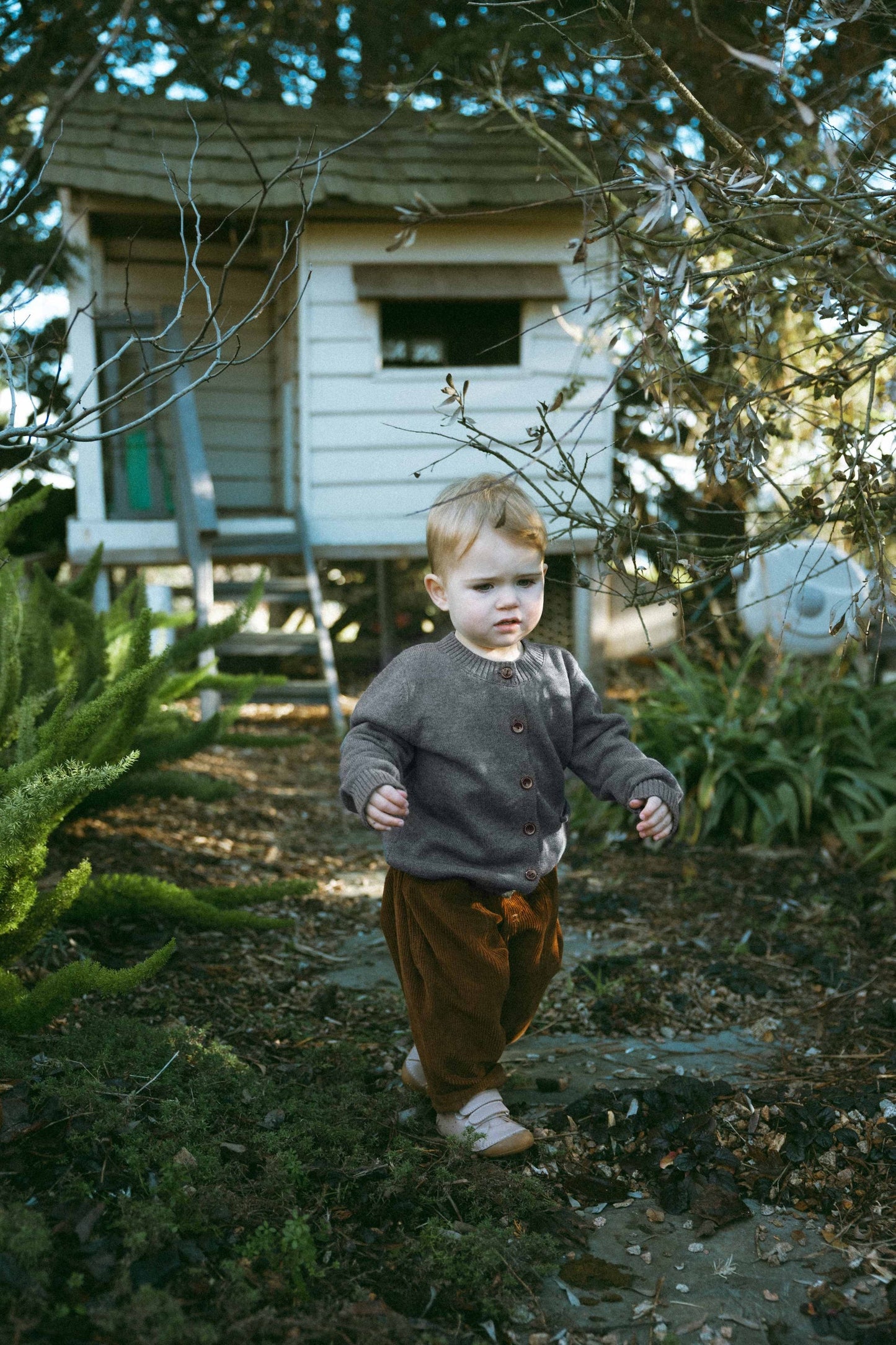 Grey Shadow Wool Cardigan - Cloud and mist dust