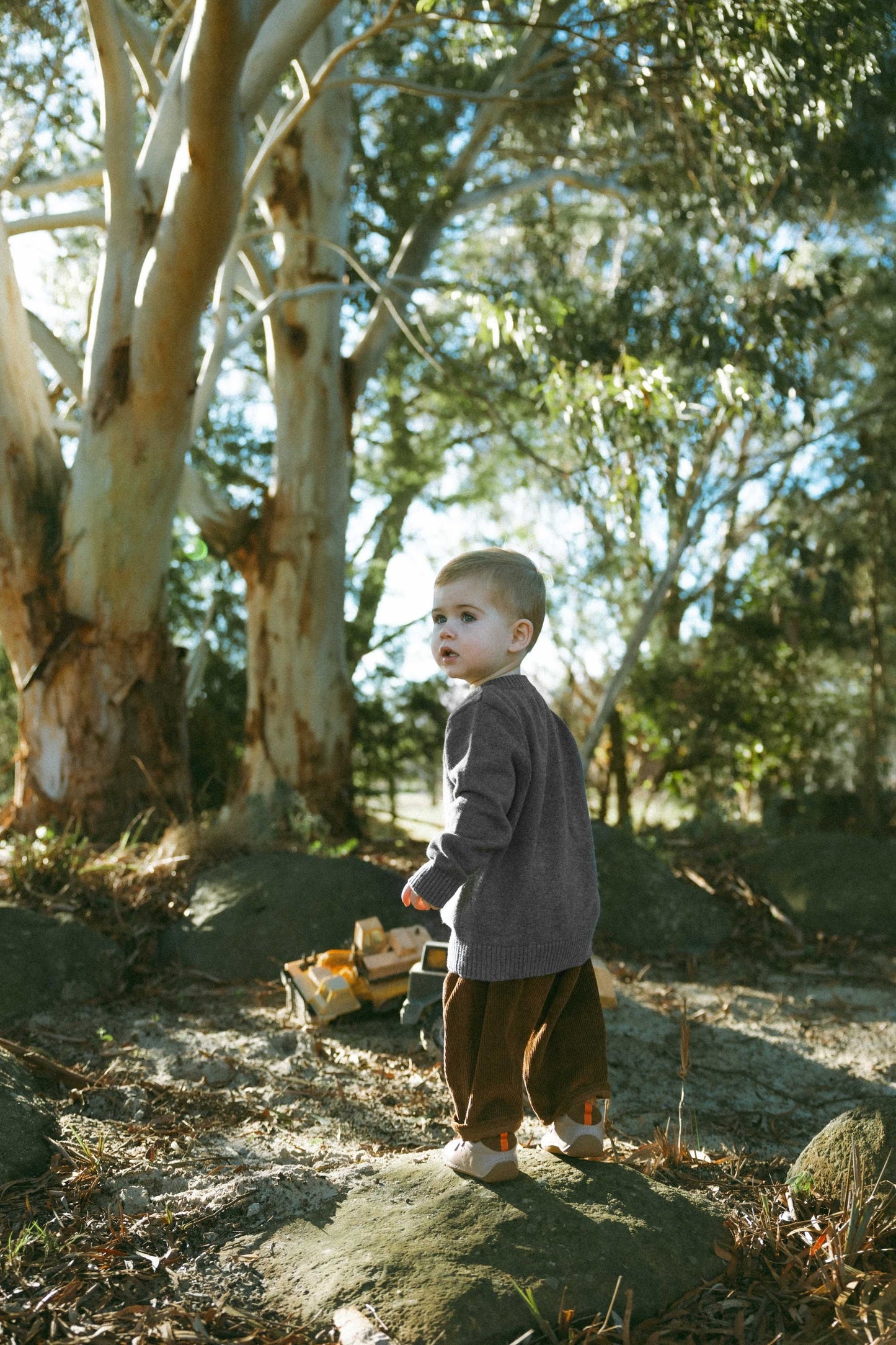Grey Shadow Wool Cardigan - Cloud and mist dust