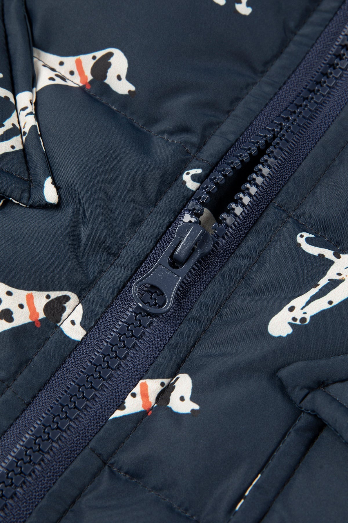 Latte Brown Down Jacket - Dark Night Blue