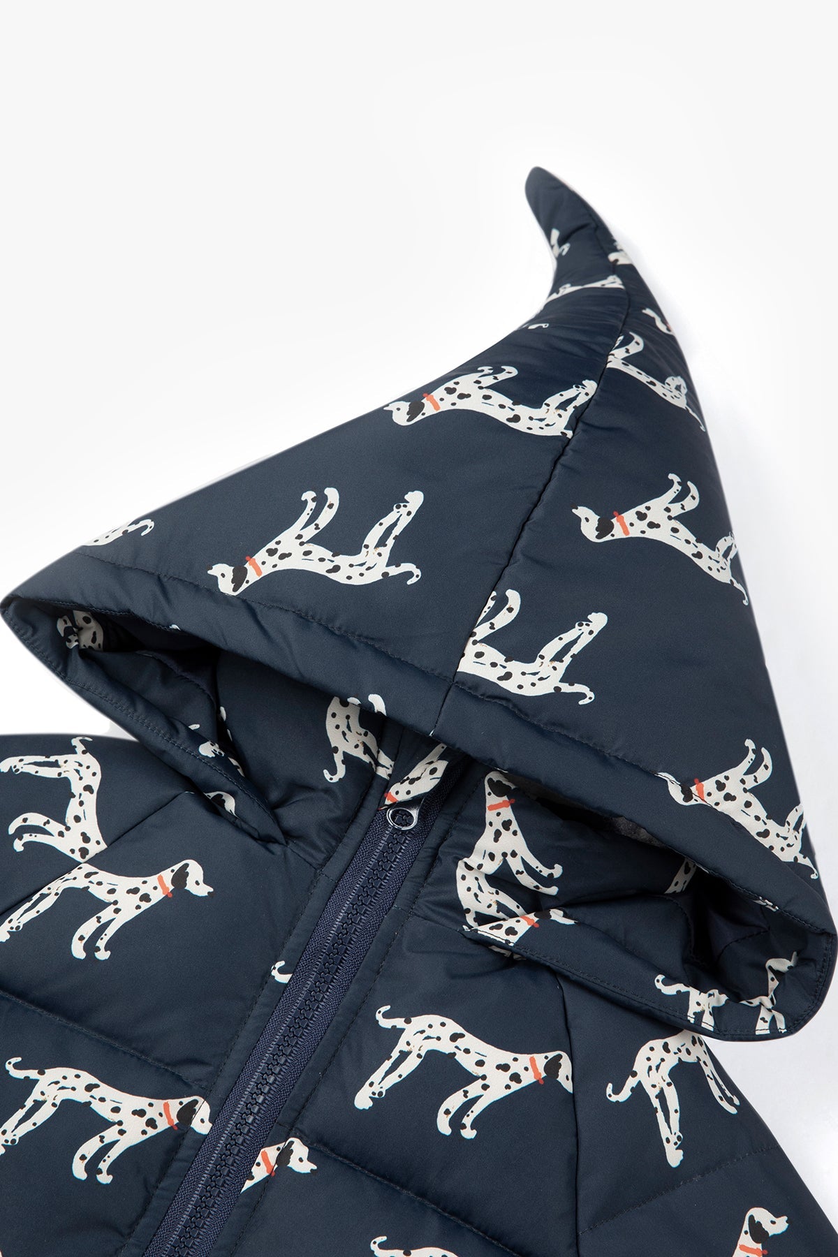 Latte Brown Down Jacket - Dark Night Blue