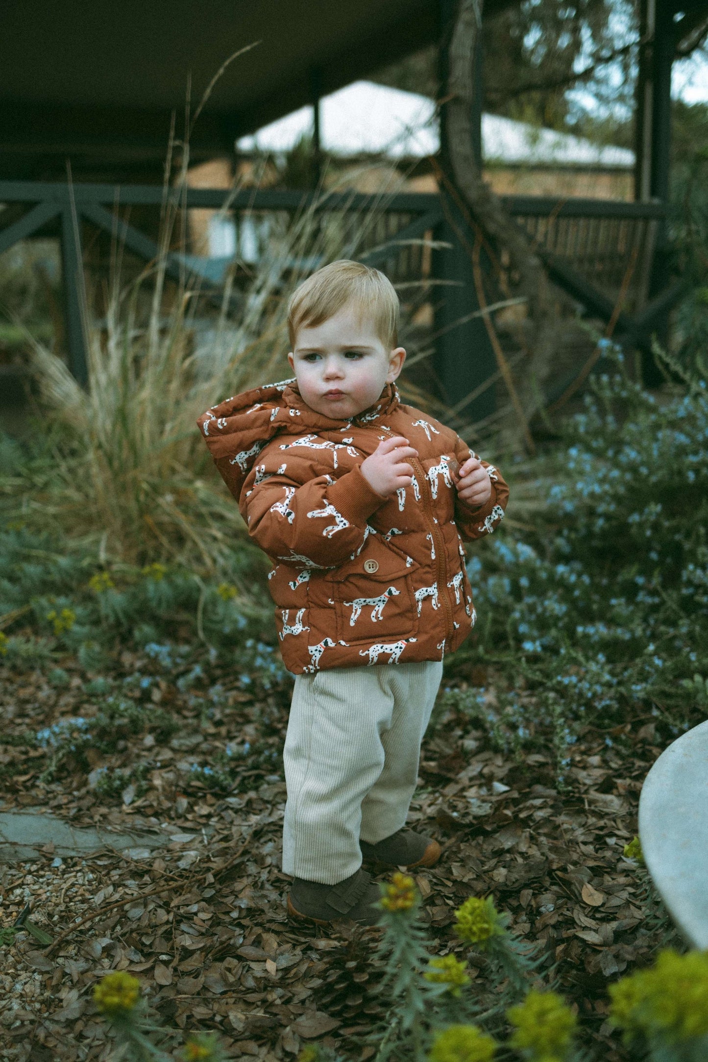 Latte Brown Down Jacket - Sunset Brown