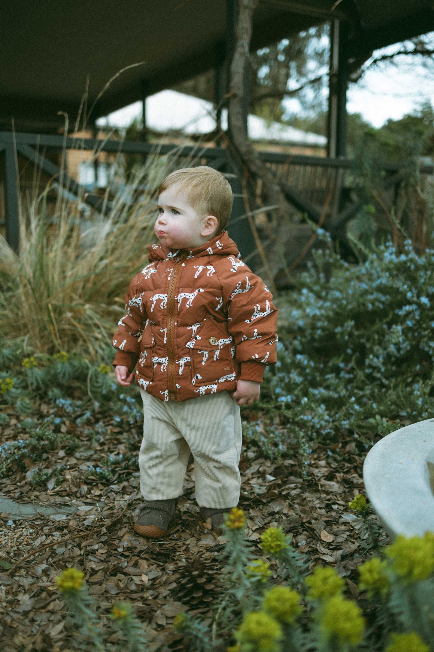 Latte Brown Down Jacket - Sunset Brown