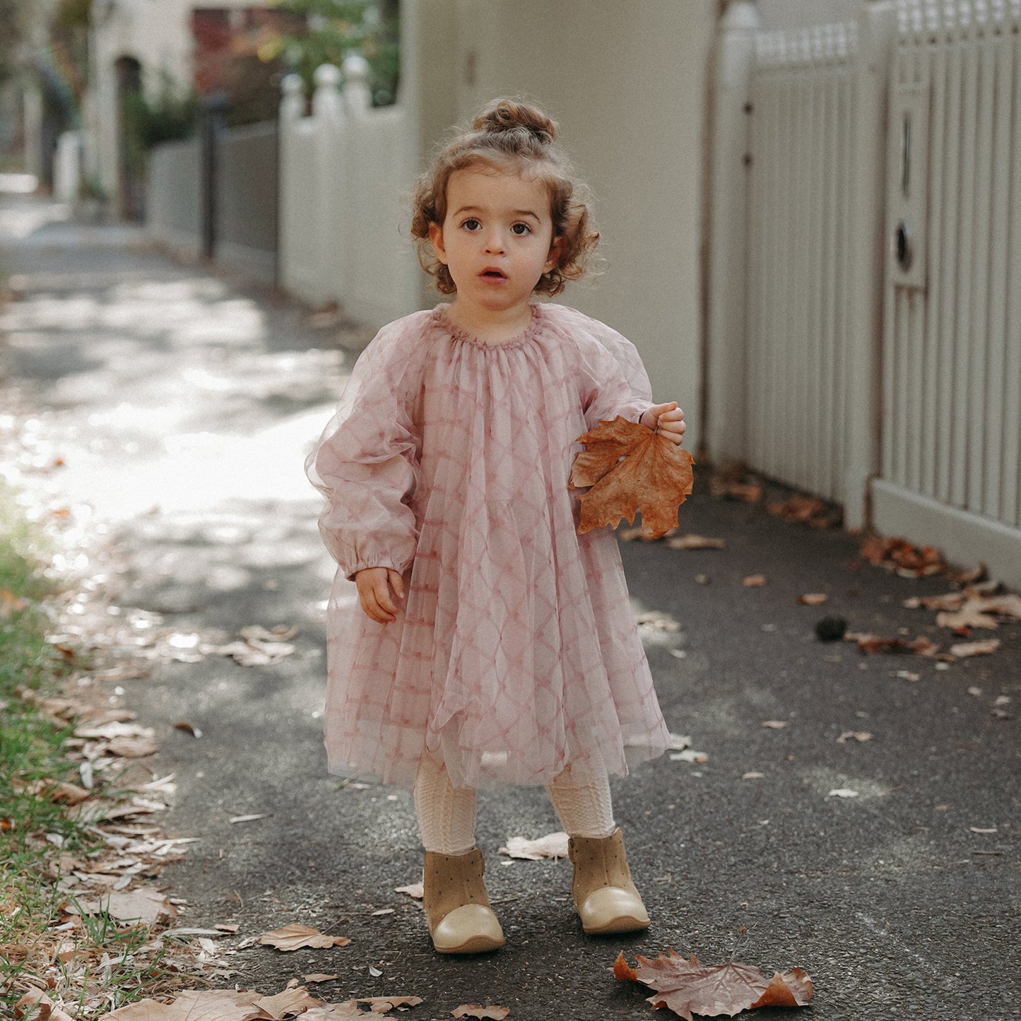 Lucia - Latte Brown
