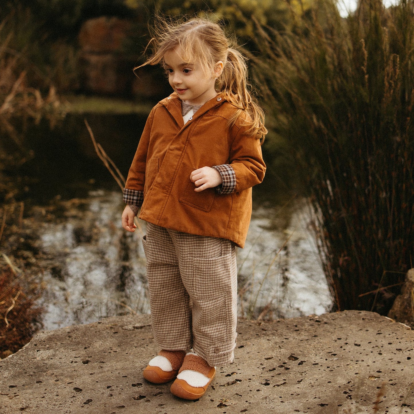 Nimo - Acorn Brown