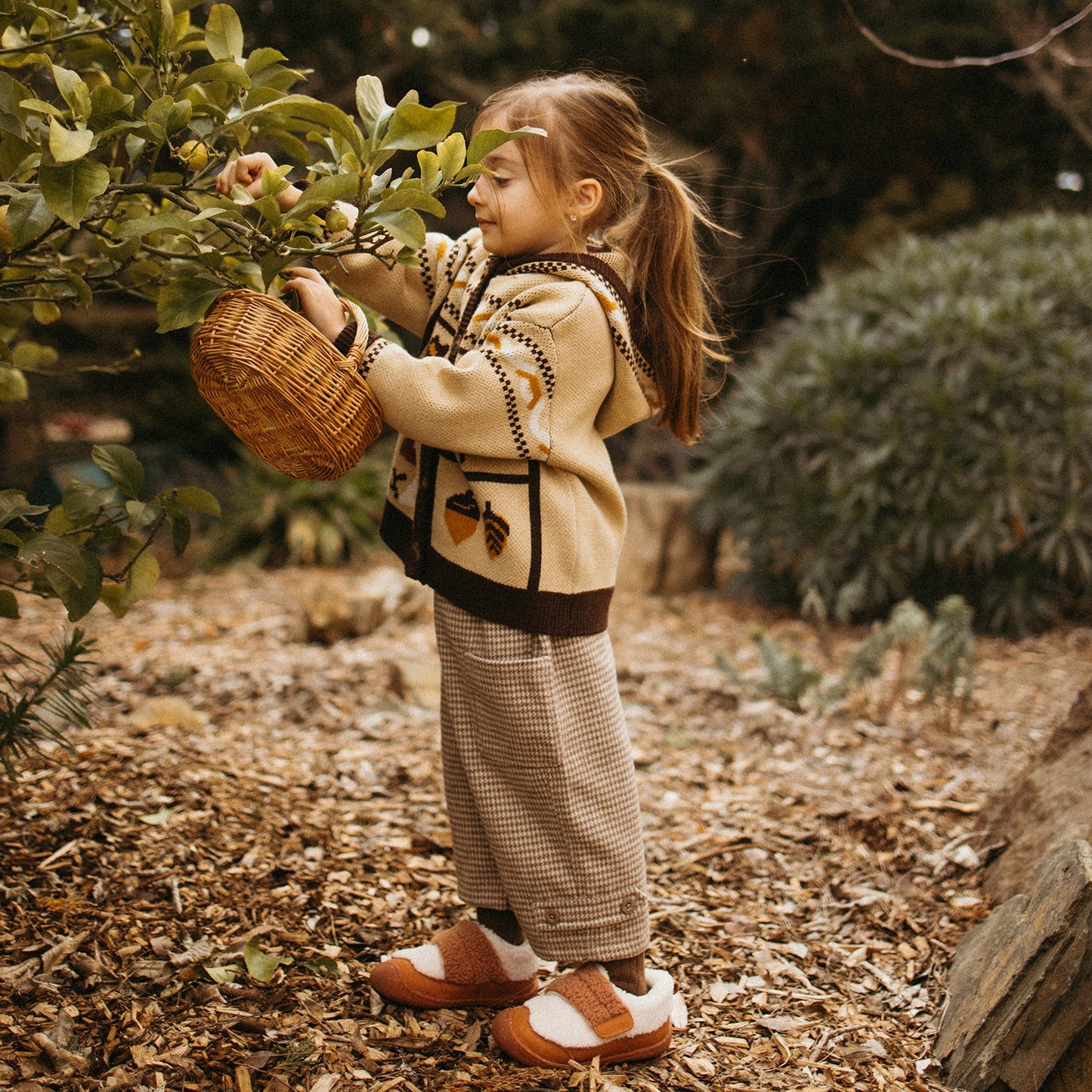 Nimo - Acorn Brown