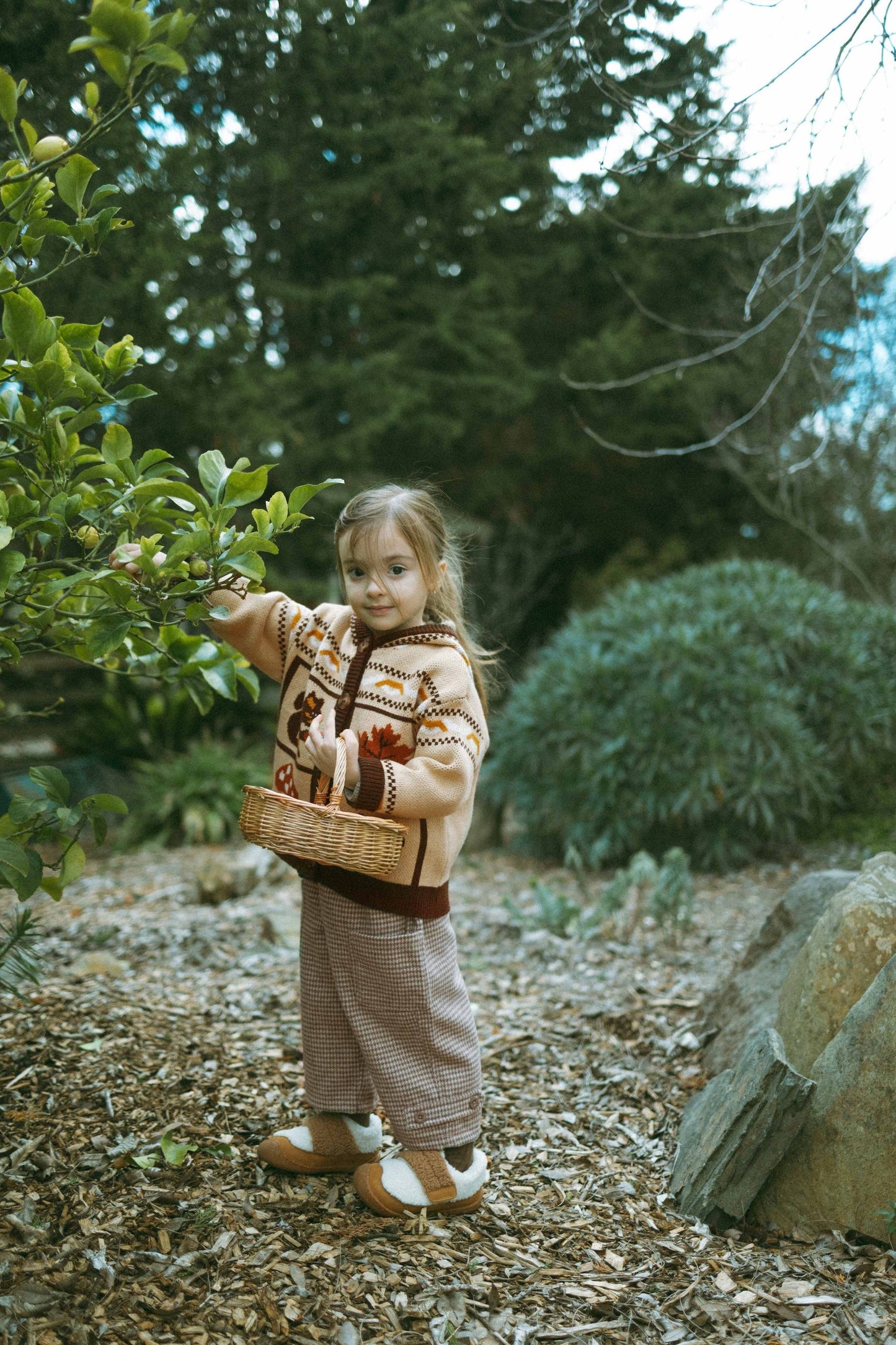 Plaid Fleece Pants - Brown