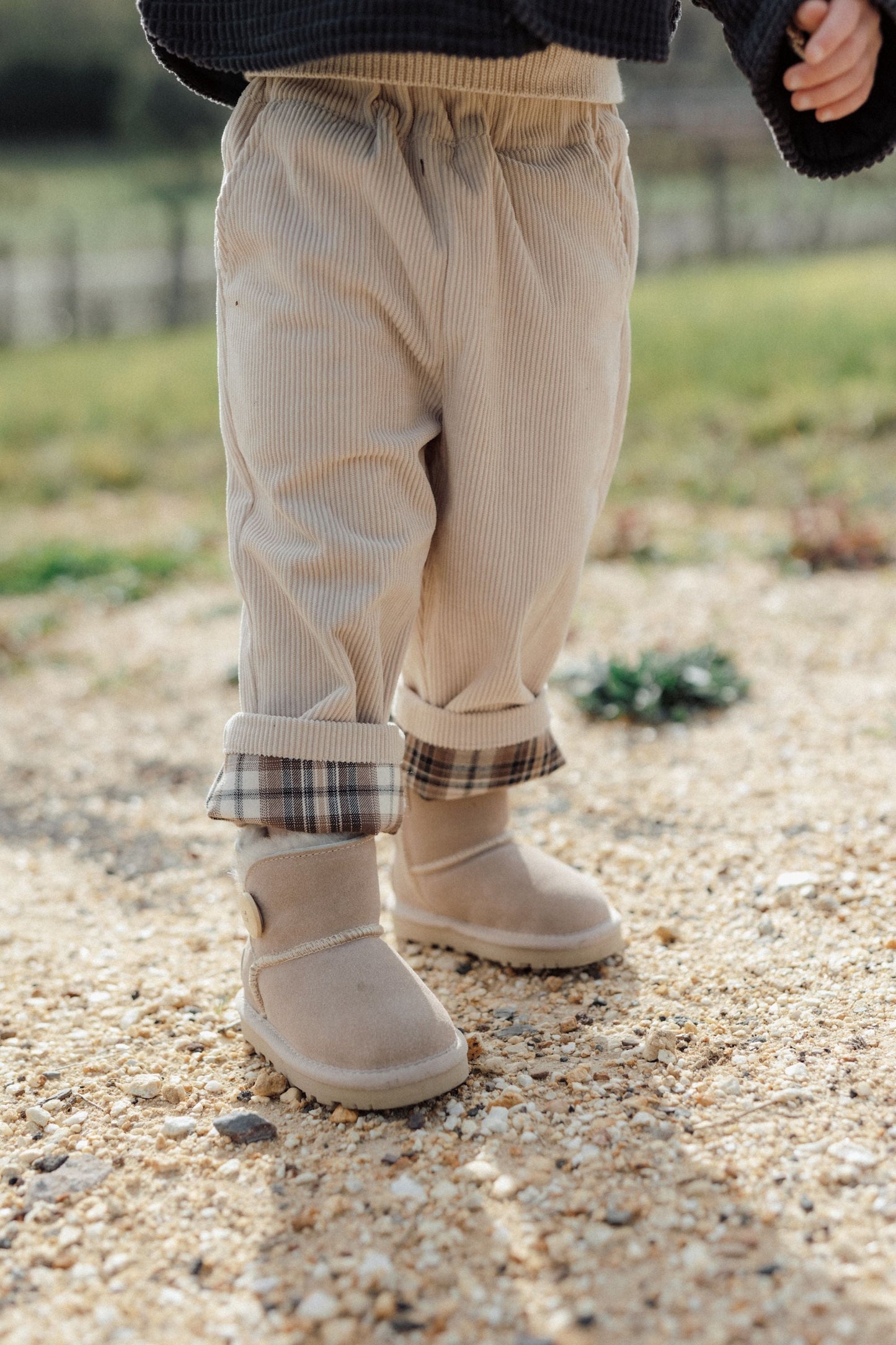 Plaid Pants - Cream
