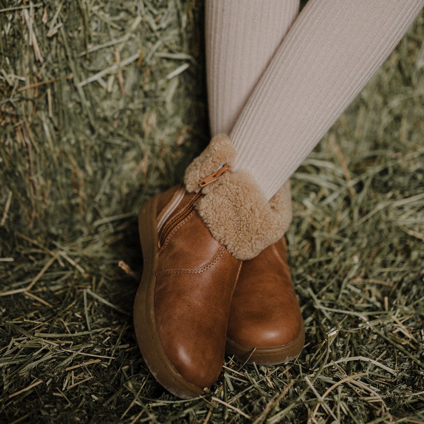 Bianca - Chestnut Brown