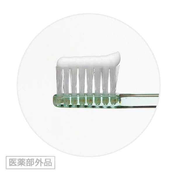 DENT Check-up Kodomo Toothpaste