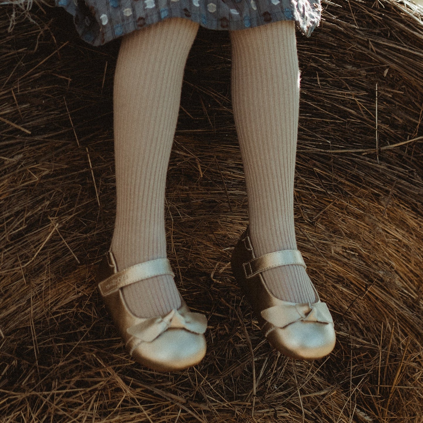 Dora - Wheatland Gold