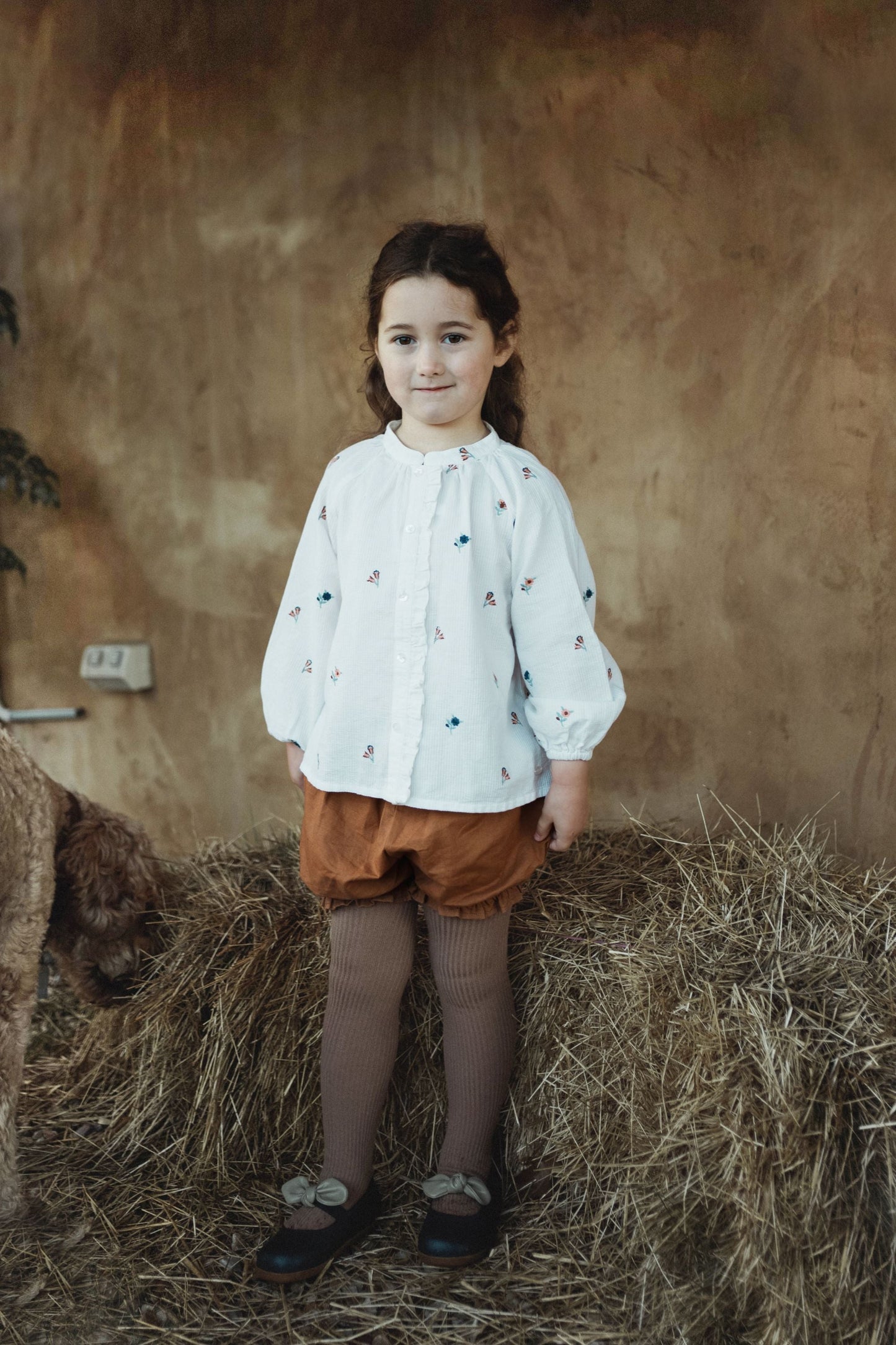 Cotton Embroidered Blouse - Cream