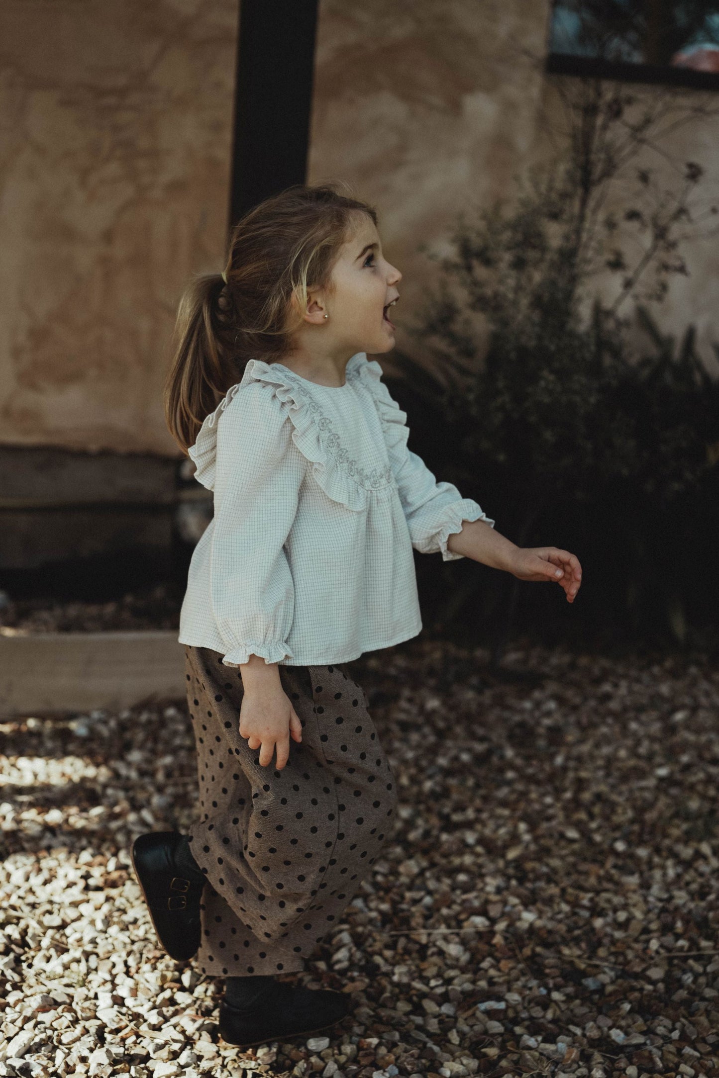 Ruffled Collar Blouse - Light Apricot