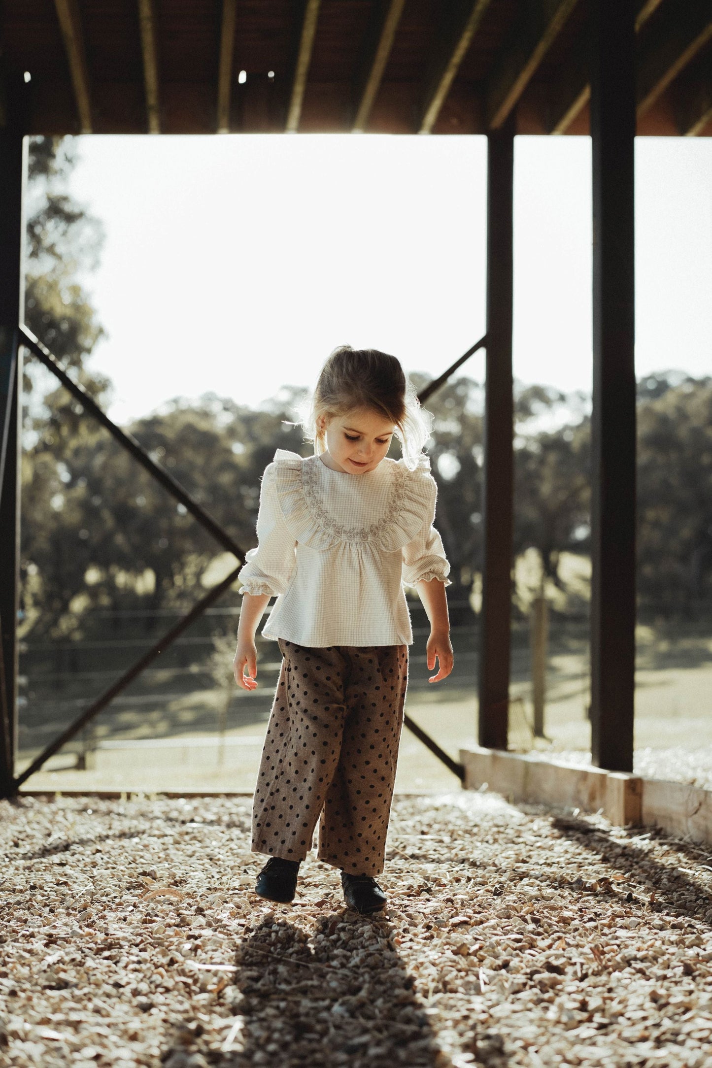 Ruffled Collar Blouse - Light Apricot