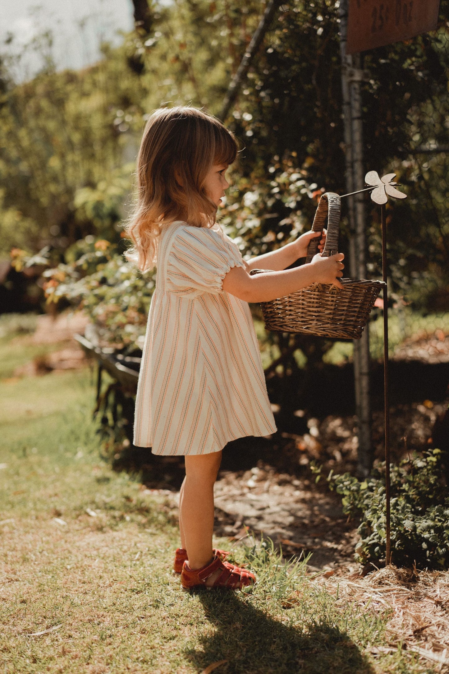 Rainbow Striped Dress - Rainbow Stripes