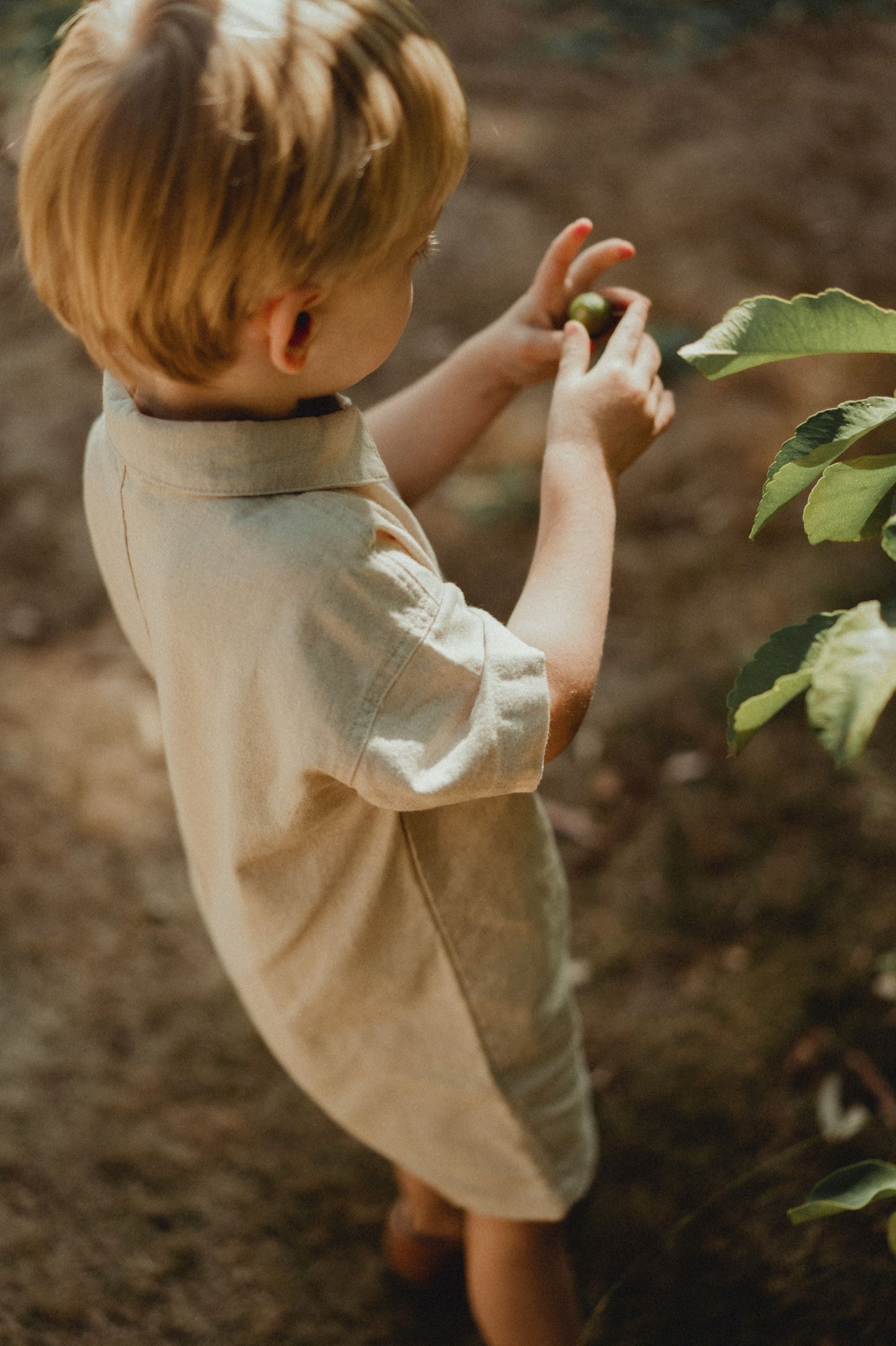Linen Jumpsuit - Linen