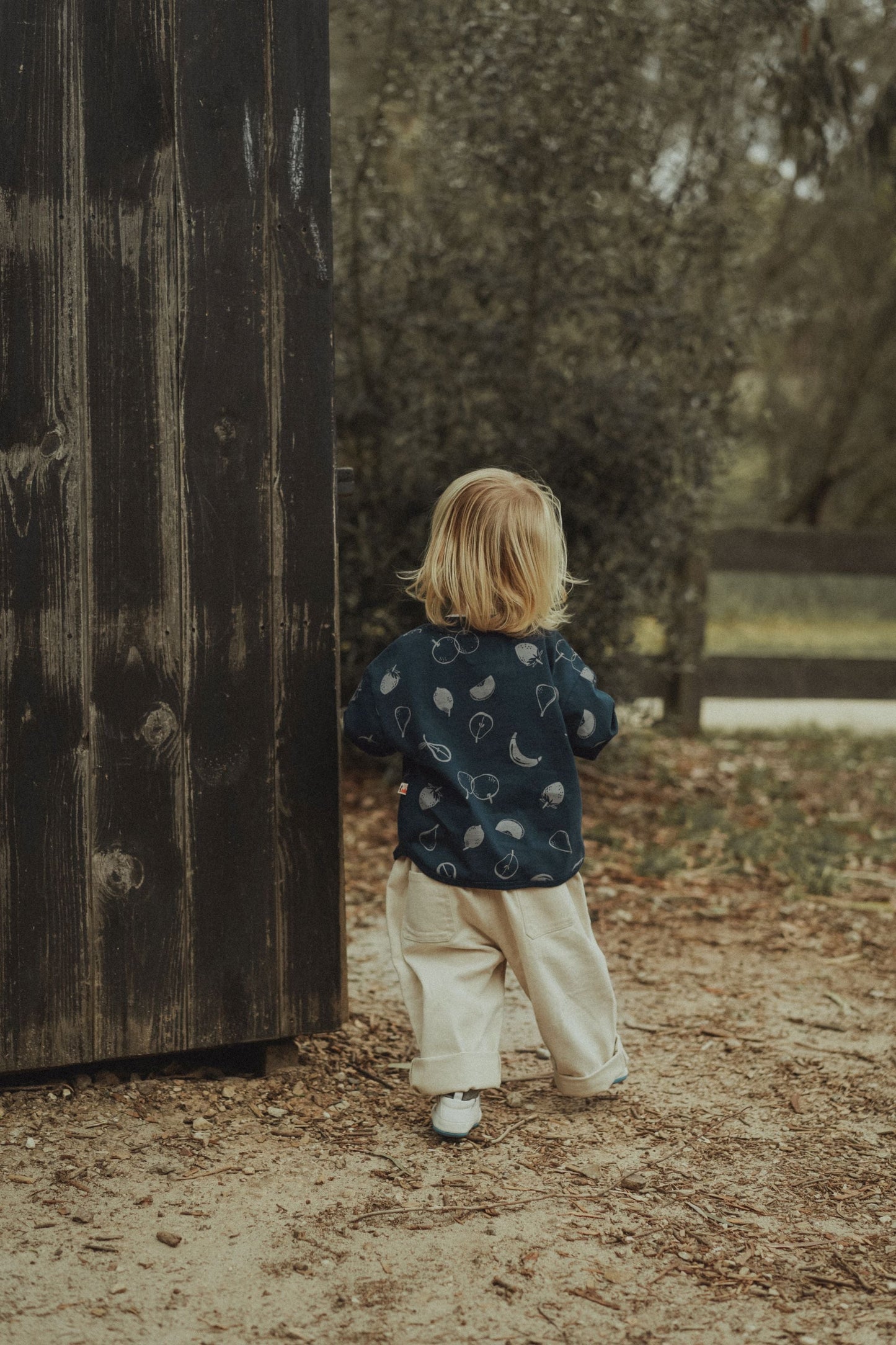 Fruit Long Sleeve T-Shirt - Fruit Party